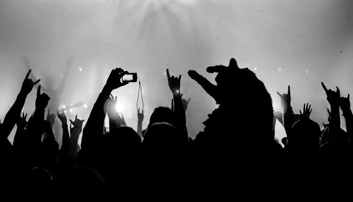 Put Your Cats In The Air Like You Don't Care