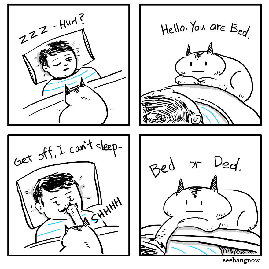 Death, Dogs, Cats And Me