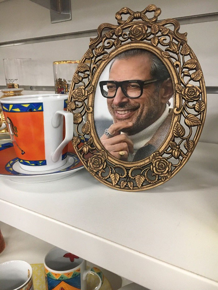 This Charity Shop Added A Picture Of Jeff Goldblum In Every Photo Frame They Had And It's Amusing