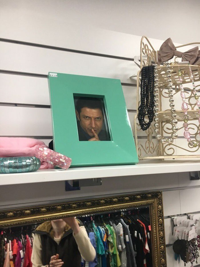 This Charity Shop Added A Picture Of Jeff Goldblum In Every Photo Frame They Had And It's Amusing This Charity Shop Added A Picture Of Jeff Goldblum In Every Photo Frame They Had And It's Amusing