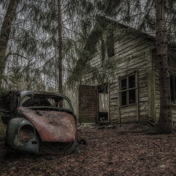 I Photographed This Creepy Forest