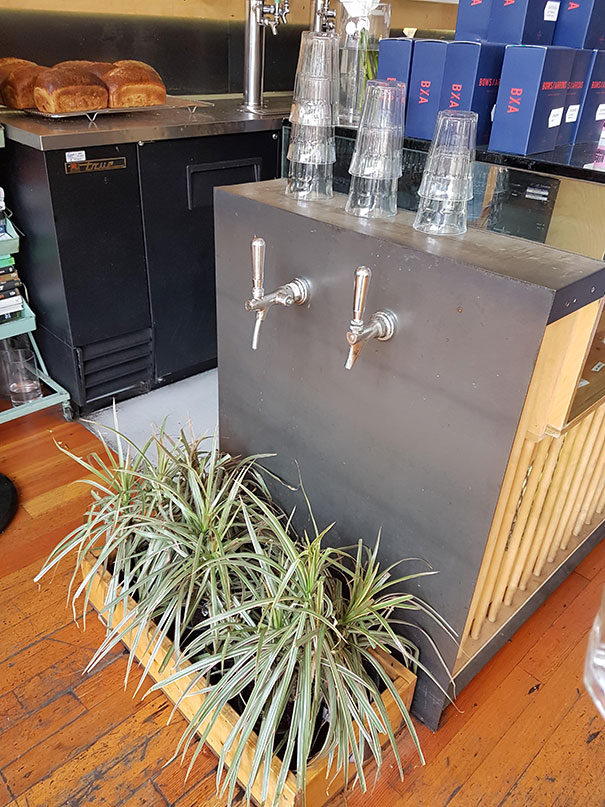 The Water Taps At This Cafe Drip Onto Plants To Not Waste Water