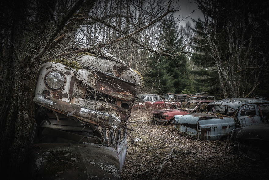 I Photographed This Creepy Forest