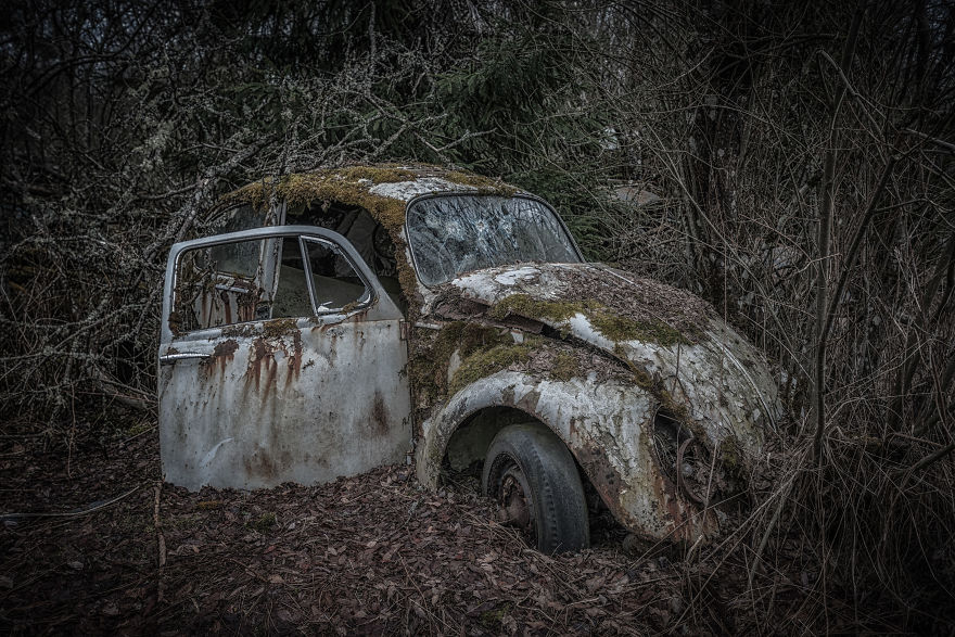 I Photographed This Creepy Forest