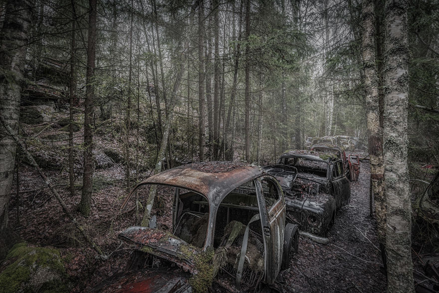 I Photographed This Creepy Forest