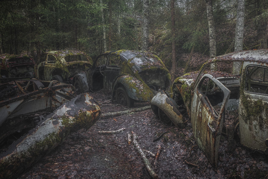 I Photographed This Creepy Forest