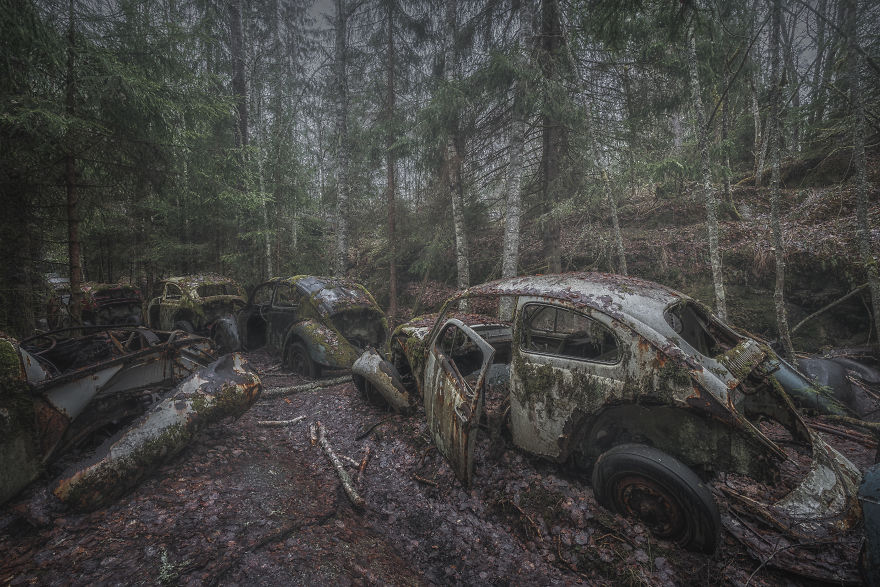 I Photographed This Creepy Forest