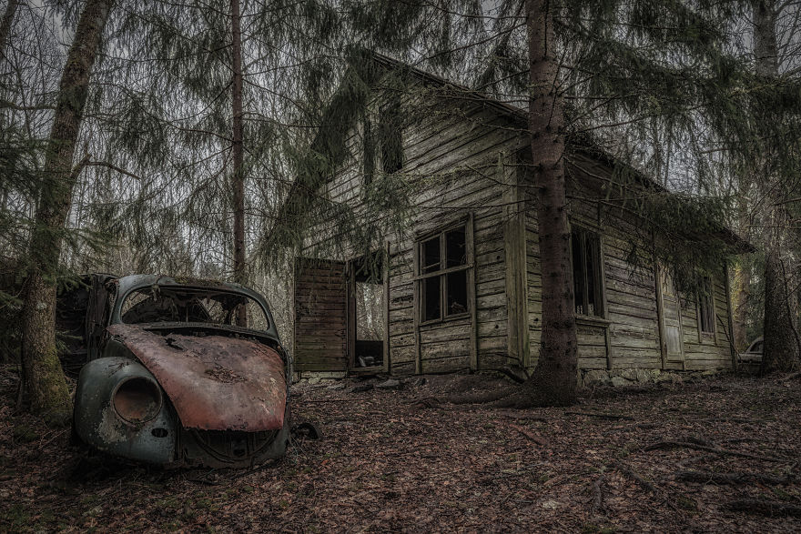 I Photographed This Creepy Forest