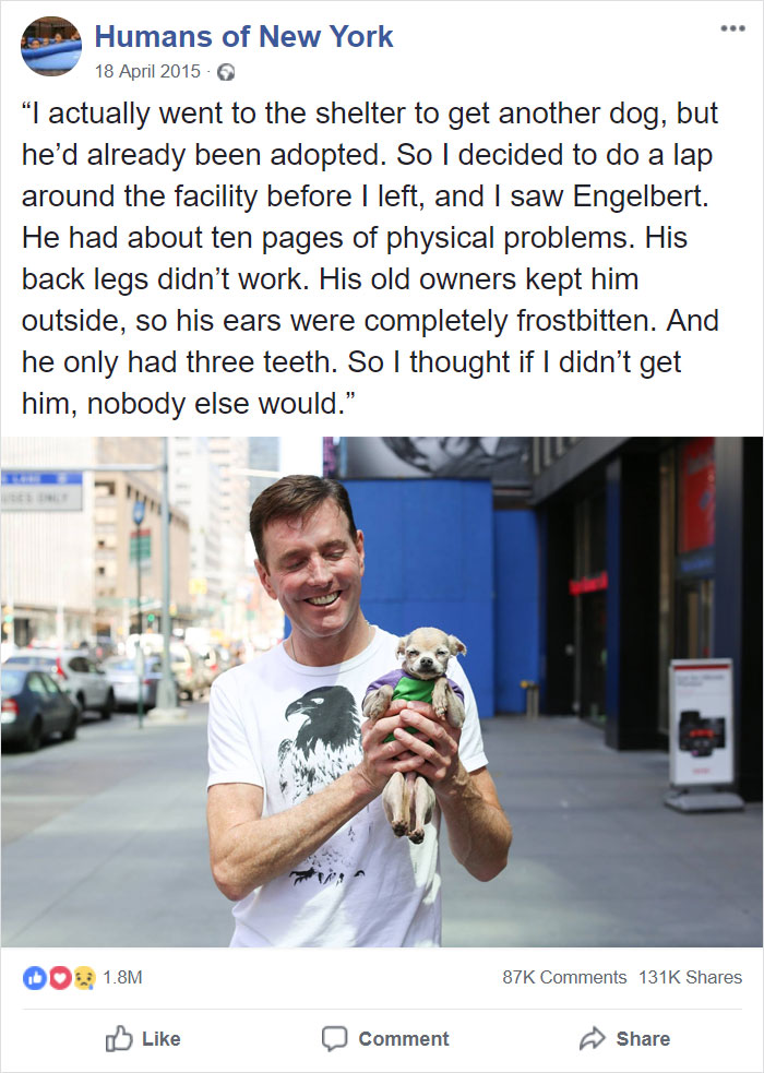 If I Didn't Get Him, Nobody Else Would