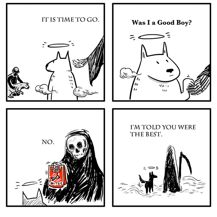 30 Comics About Death, Dogs, Cats And Me