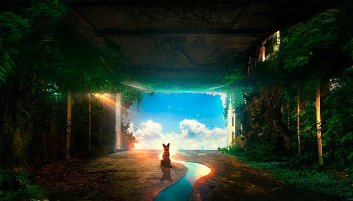 30 Artworks I’ve Created During My 4-Year-Long Challenge