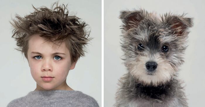 Photographer Puts Dogs And Their Owners Side By Side, And The Resemblance Is Uncanny