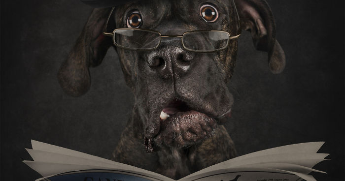 Modern Day Feminism Has Gone To The Dogs