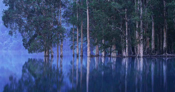 You Won’t Believe These 12 Photos Are Shot In One Of The World’s Densest Cities