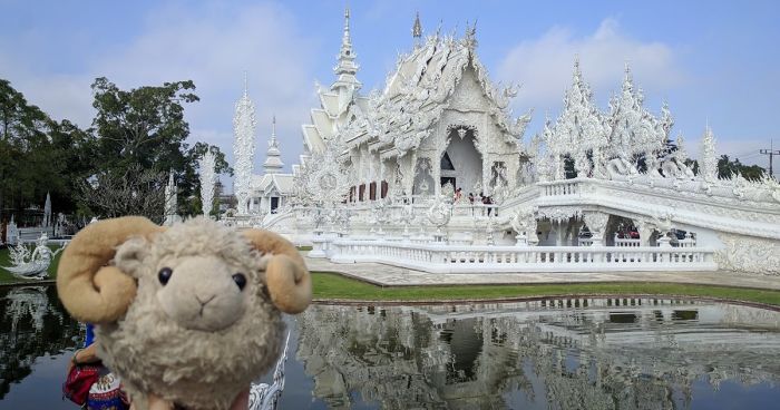 I Am The Cutest Ram Ever And I Love To Travel: Look At My Pictures Around The World!