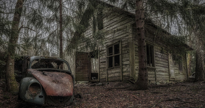 I Photographed This Creepy Forest