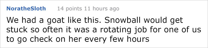 Hilariously Unbelievable Encounters With Goats That Prove They’re Actually Genius Trolls Hilariously Unbelievable Encounters With Goats That Prove They’re Actually Genius Trolls