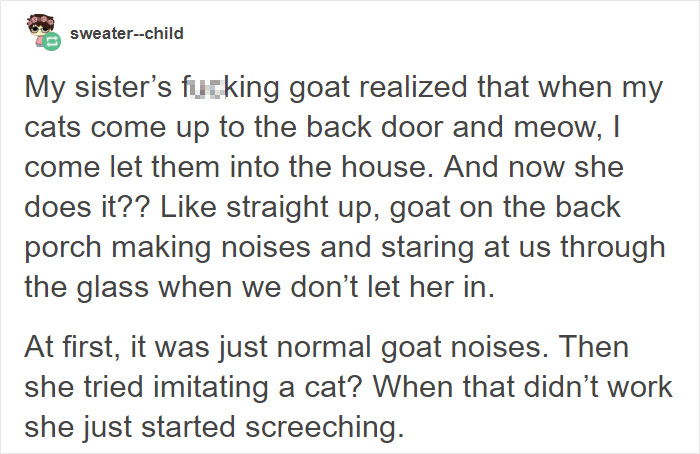 Hilariously Unbelievable Encounters With Goats That Prove They’re Actually Genius Trolls Hilariously Unbelievable Encounters With Goats That Prove They’re Actually Genius Trolls