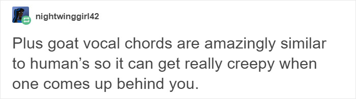 Hilariously Unbelievable Encounters With Goats That Prove They’re Actually Genius Trolls Hilariously Unbelievable Encounters With Goats That Prove They’re Actually Genius Trolls