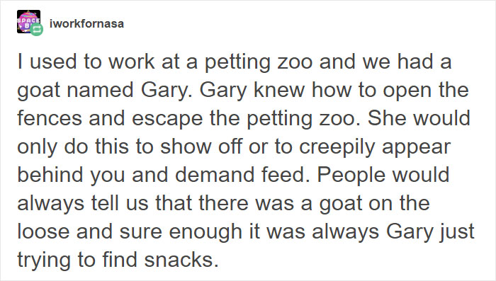 Hilariously Unbelievable Encounters With Goats That Prove They’re Actually Genius Trolls Hilariously Unbelievable Encounters With Goats That Prove They’re Actually Genius Trolls