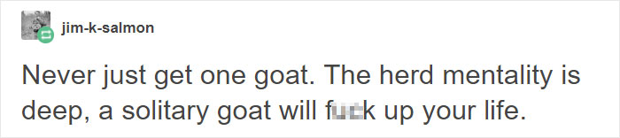 Hilariously Unbelievable Encounters With Goats That Prove They’re Actually Genius Trolls Hilariously Unbelievable Encounters With Goats That Prove They’re Actually Genius Trolls