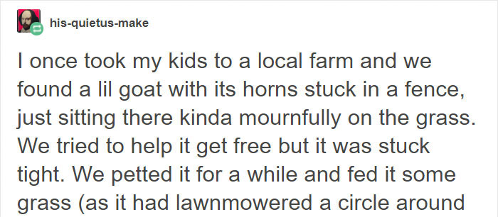 fence-stuck-goat-troll-brenda5 fence-stuck-goat-troll-brenda5