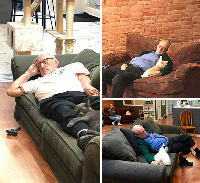  This Man Volunteers Every Day At My Local Shelter For Special Needs Kitties, And Each One Of Them Gets In Their Turn For A Cuddly Cat Nap