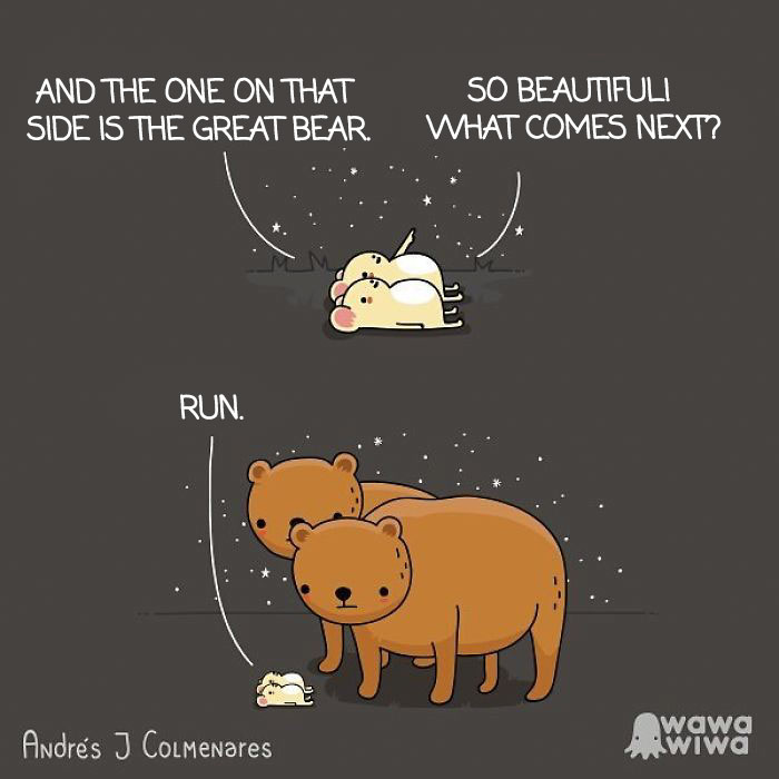 And The One On That Side Is The Great Bear. ... So Beautiful! What Comes Next? ... Run.