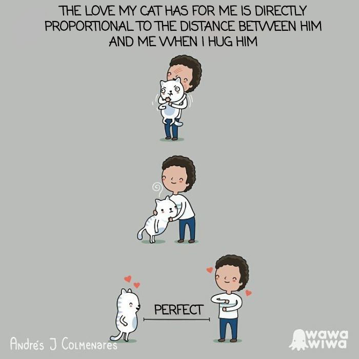 The Love My Cat Has For Me Is Directly Proportional To The Distance Between Him And Me When I Hug Him.