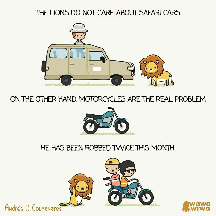 The Lions Do Not Care About Safari Cars. ... On The Other Hand, Motorcycles Are The Real Problem. ... He Has Been Robbed Twice This Month.