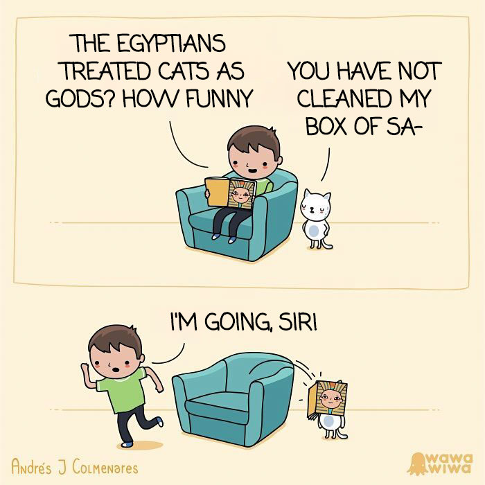 The Egyptians Treated Cats As Gods? How Funny. ... You Have Not Cleaned My Box Of Sa- ... I'm Going, Sir!
