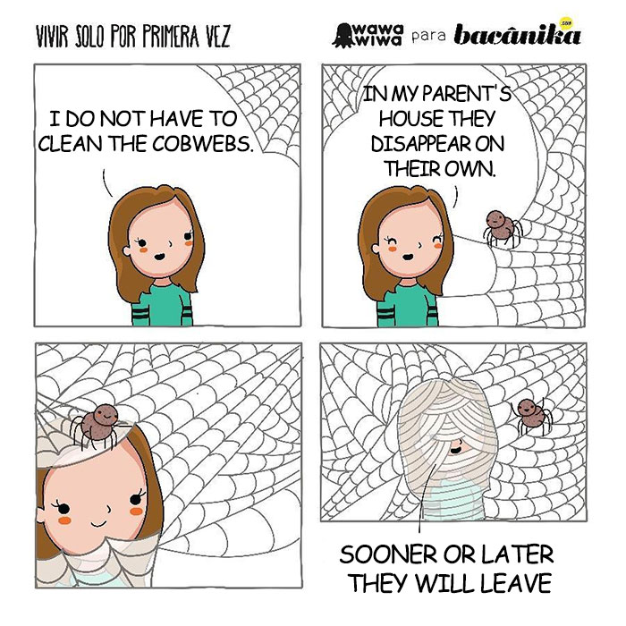 I Do Not Have To Clean The Cobwebs. ... In My Parent's House They Disappear On Their Own. ... Sooner Or Later They Will Leave.