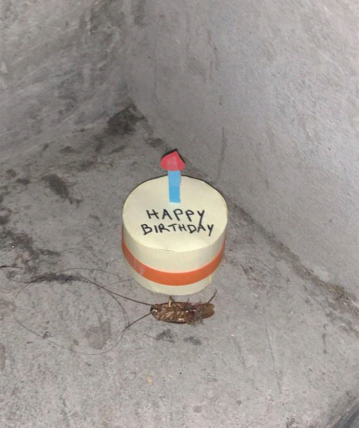 Cockroach Dies On This Office's Stairwell, And The Story Gets Funnier With Every Pic