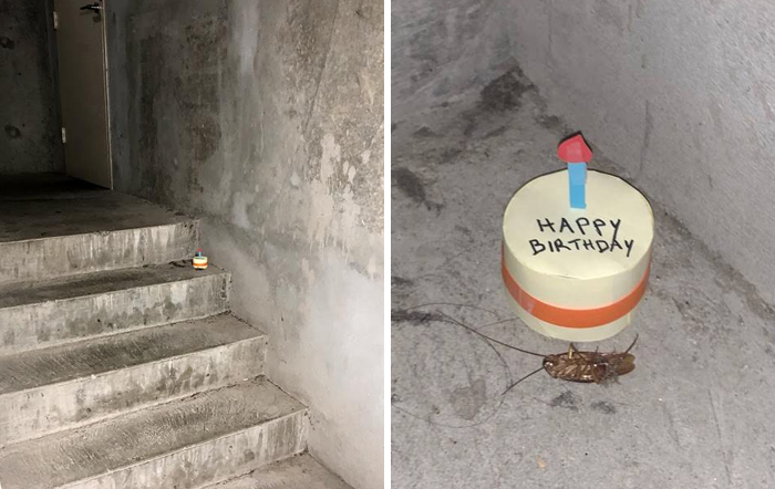 Cockroach Dies On This Office’s Stairwell, And The Story Gets Funnier With Every Pic