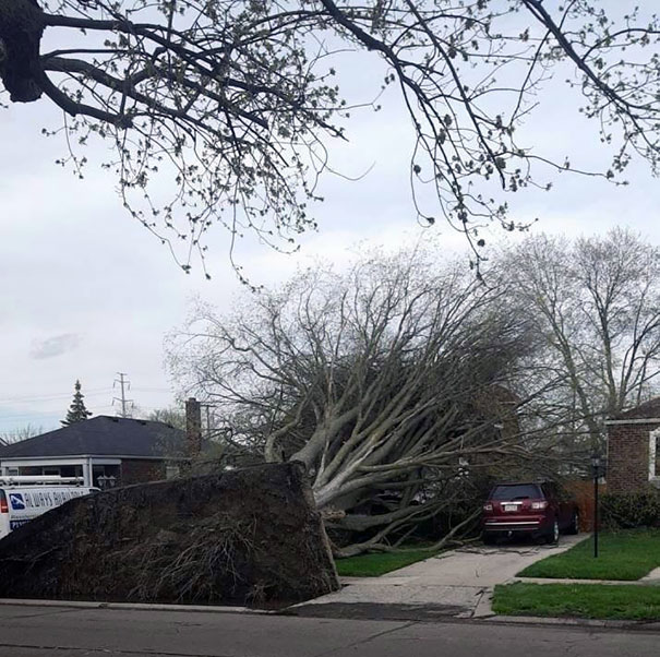 A Surprise... But An Unwelcome One, To Be Sure