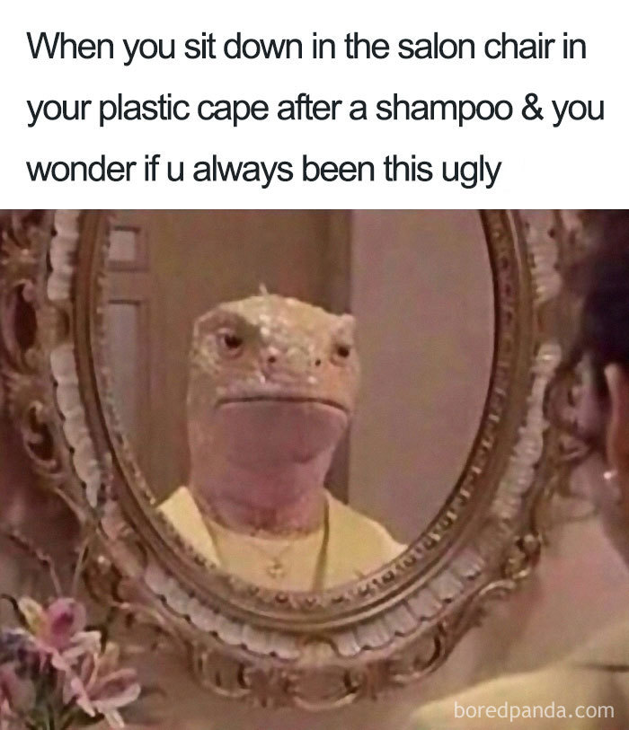 Lizard in a salon chair looking at its reflection, capturing a humorous hairstylist meme moment.