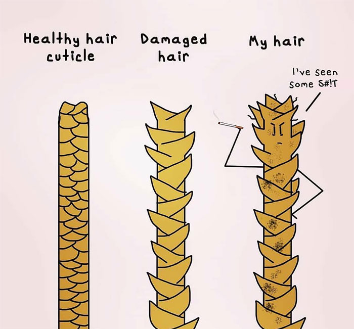 Cartoon showing healthy, damaged, and disheveled hair cuticles, highlighting hairstylist humor.