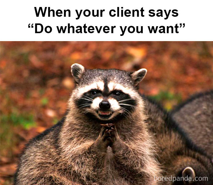 A mischievous raccoon grinning with text above about giving hairstylists creative freedom, capturing a meme's humor.