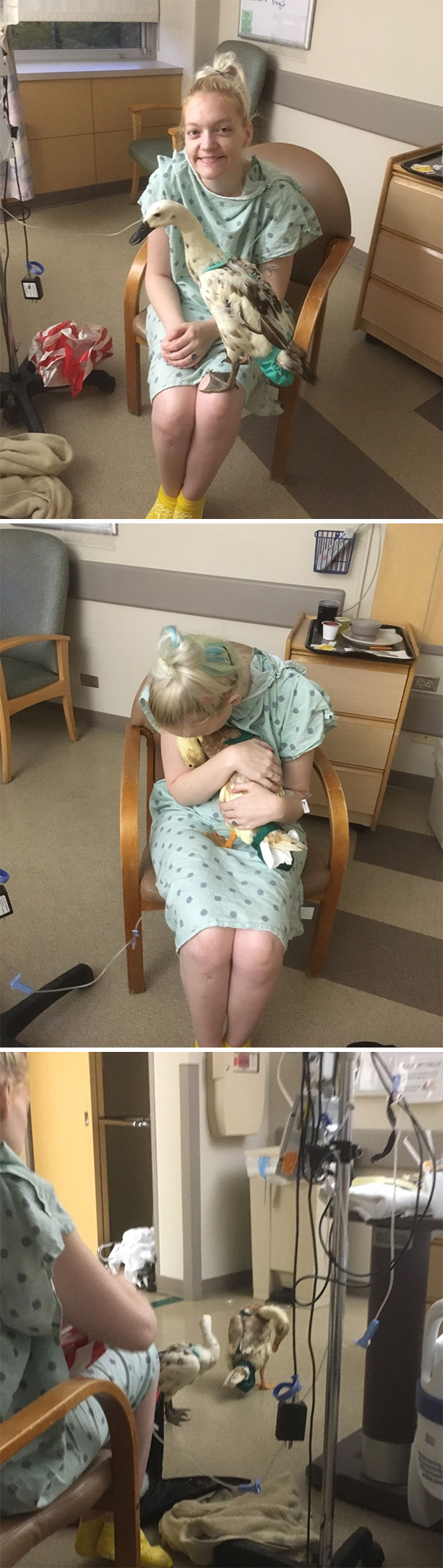 I Didn't Want To Go To The Hospital When I Had Life-Threatening Illness, Because My Elderly Pet Ducks Required Daily Medications At The Time. I'm The Only Person They'll Allow. The Nurses Let My Husband Sneak Them In At Night