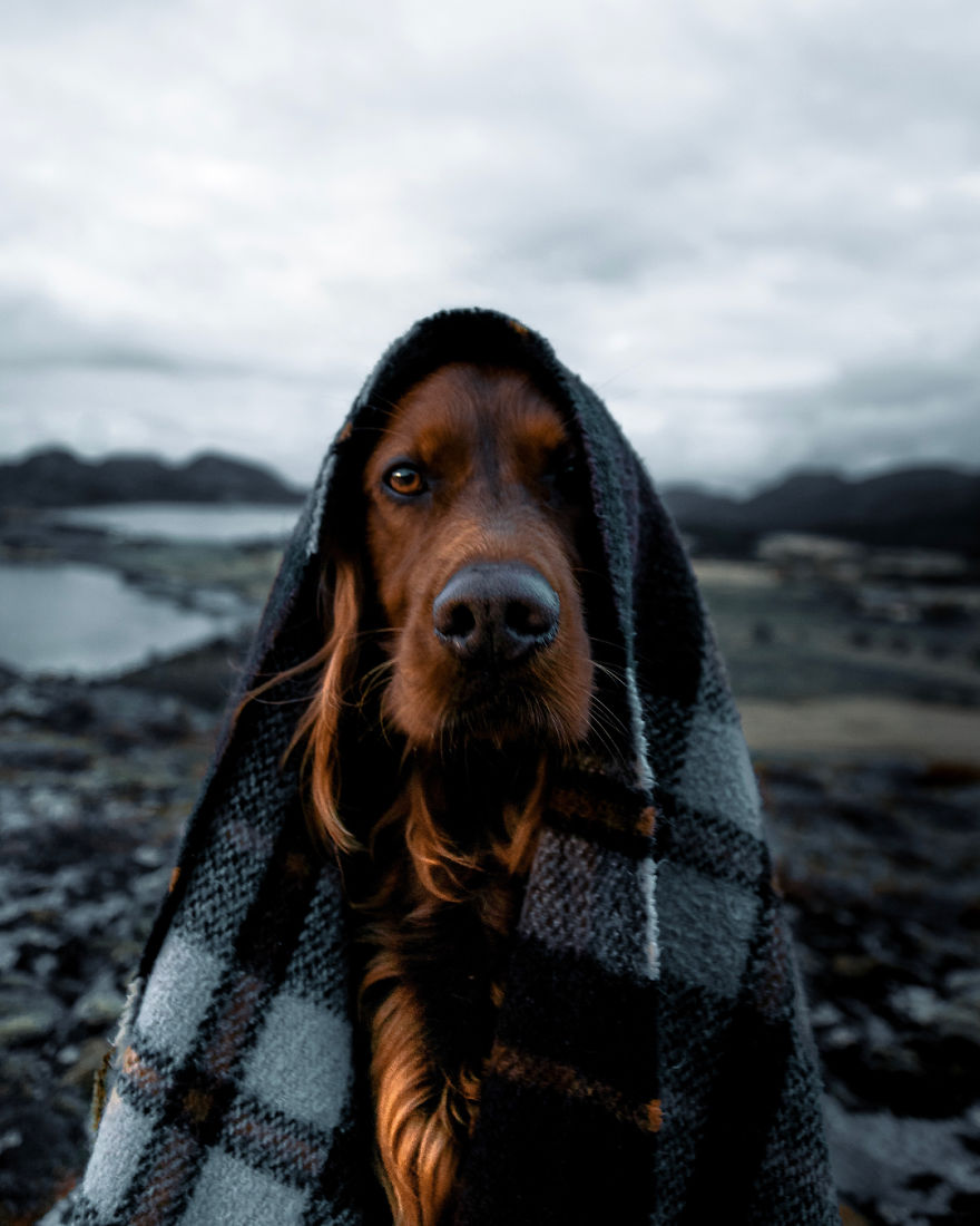 The-Secret-Life-Of-Troja-Photography-George