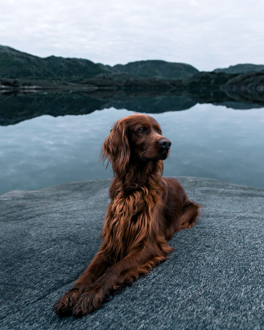 The-Secret-Life-Of-Troja-Photography-George