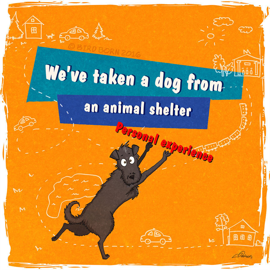 10+ Things That We Realized After Spontaneously Adopting A Dog From A Shelter 10+ Things That We Realized After Spontaneously Adopting A Dog From A Shelter