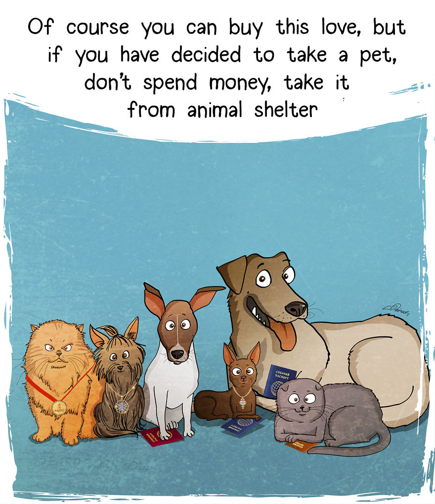 10+ Things That We Realized After Spontaneously Adopting A Dog From A Shelter