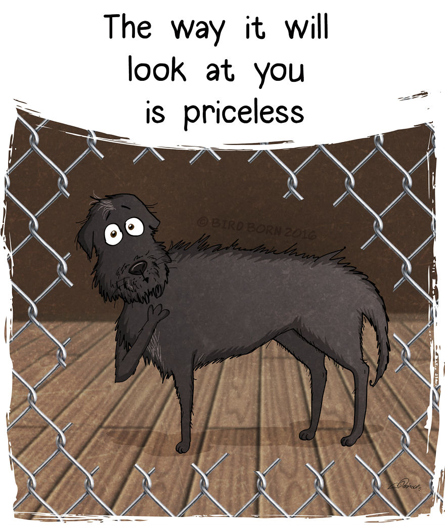 10+ Things That We Realized After Spontaneously Adopting A Dog From A Shelter