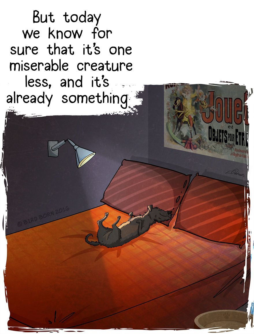 10+ Things That We Realized After Spontaneously Adopting A Dog From A Shelter