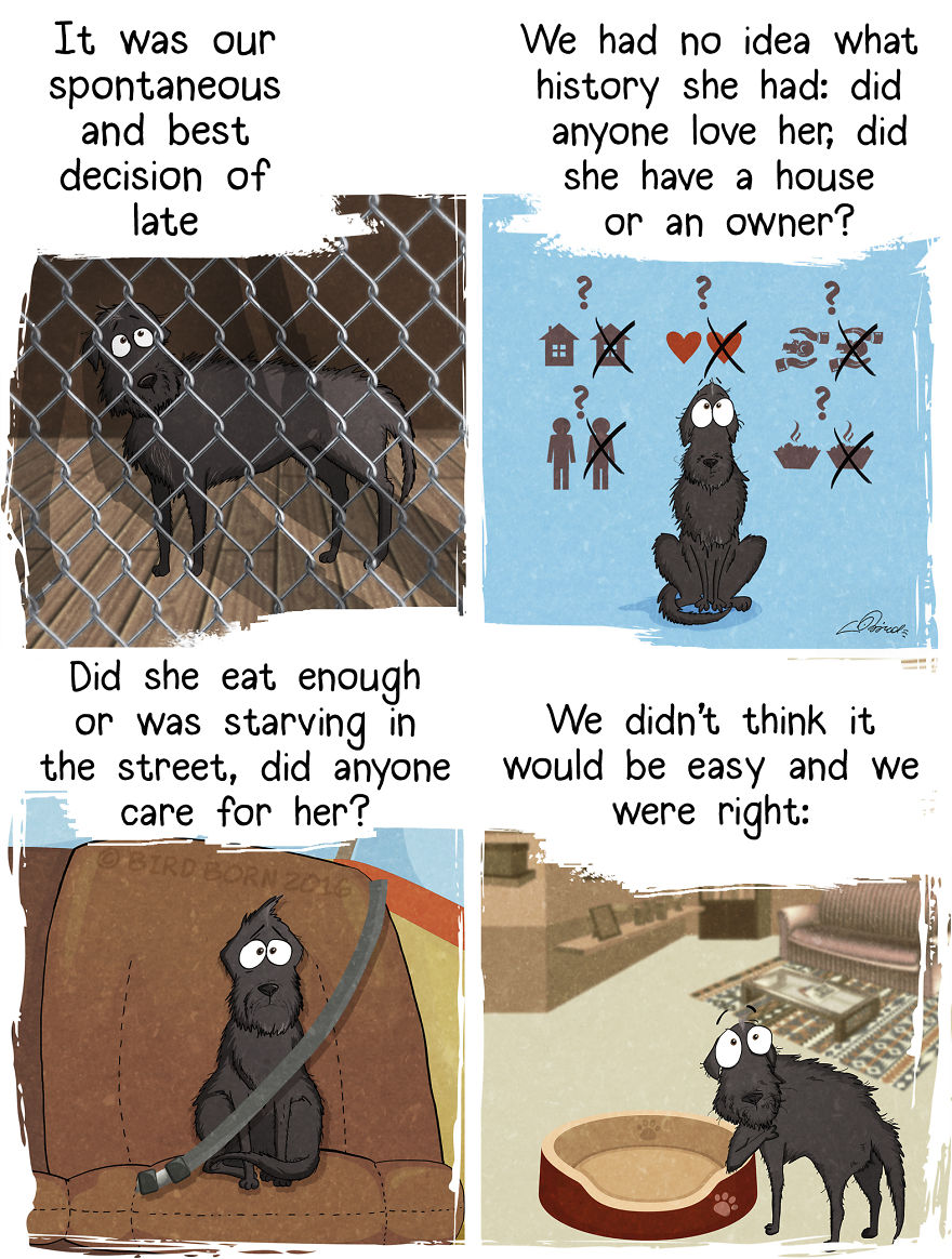 10+ Things That We Realized After Spontaneously Adopting A Dog From A Shelter 10+ Things That We Realized After Spontaneously Adopting A Dog From A Shelter