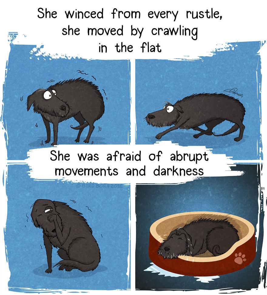 10+ Things That We Realized After Spontaneously Adopting A Dog From A Shelter 10+ Things That We Realized After Spontaneously Adopting A Dog From A Shelter