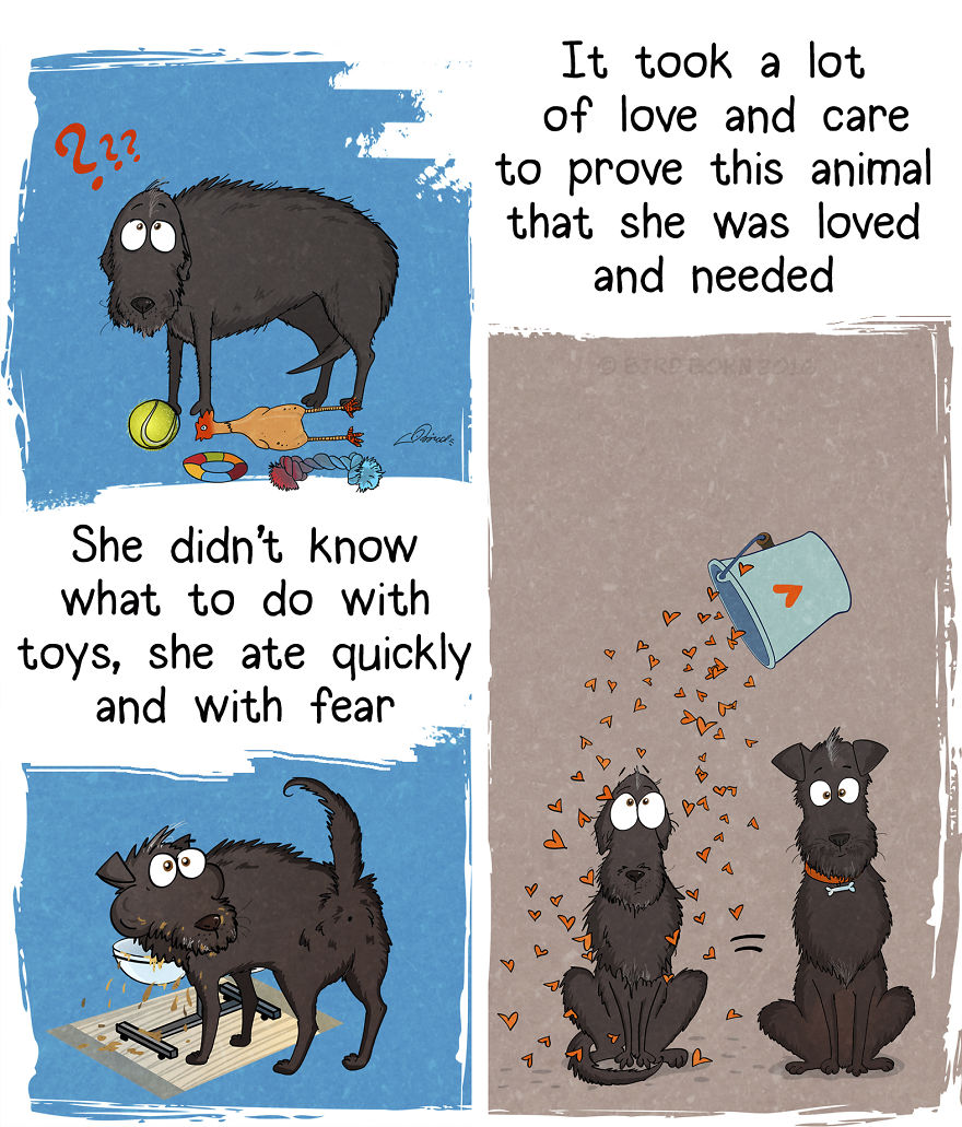 10+ Things That We Realized After Spontaneously Adopting A Dog From A Shelter