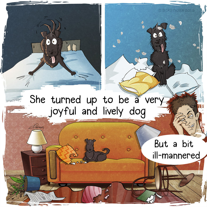 10+ Things That We Realized After Spontaneously Adopting A Dog From A Shelter