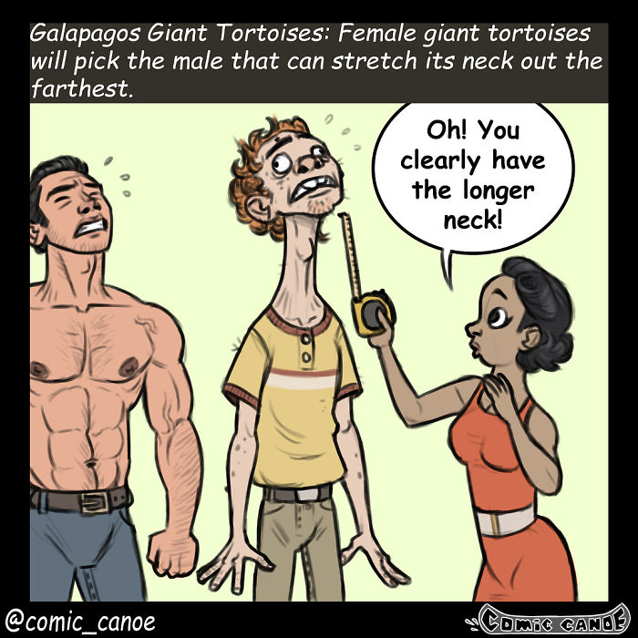 Artist Shows What Would Happen If Humans Flirted Like Animals, And It's Hilarious